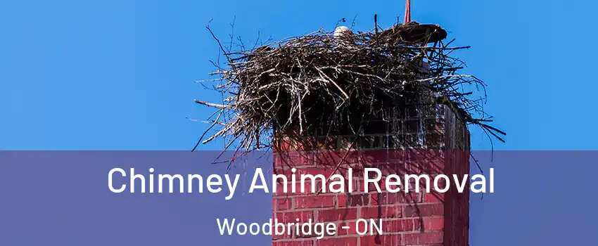 Chimney Animal Removal Woodbridge - ON