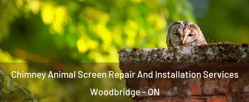  Chimney Animal Screen Repair And Installation Services Woodbridge - ON