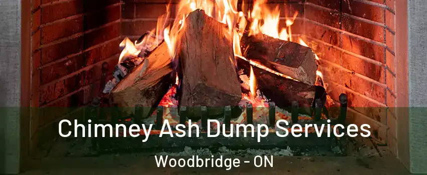  Chimney Ash Dump Services Woodbridge - ON