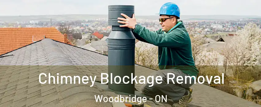  Chimney Blockage Removal Woodbridge - ON