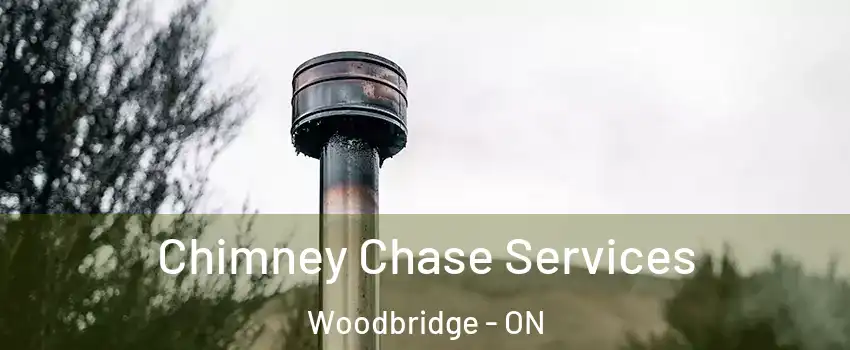  Chimney Chase Services Woodbridge - ON