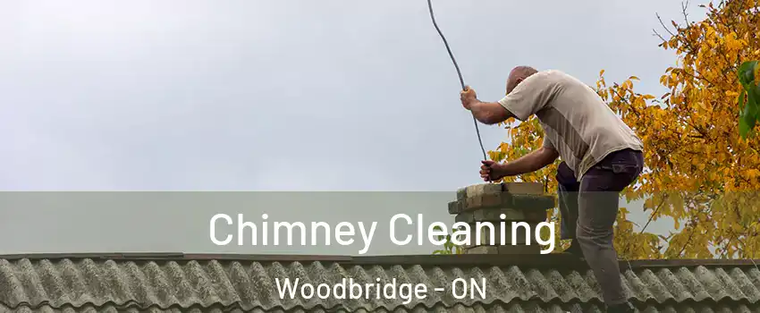  Chimney Cleaning Woodbridge - ON