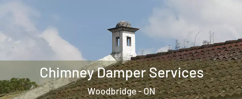  Chimney Damper Services Woodbridge - ON