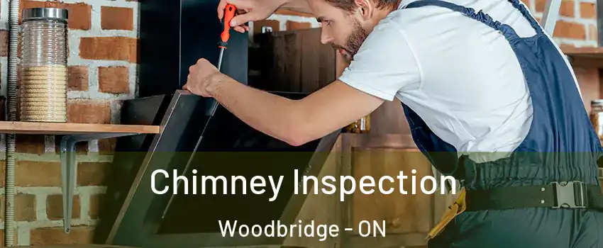 Chimney Inspection Woodbridge - ON
