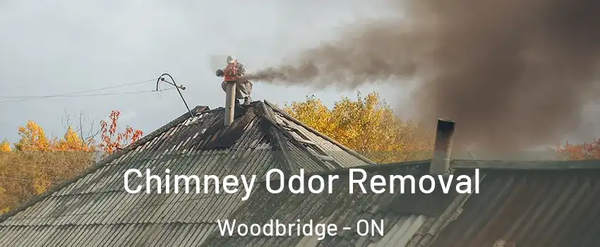  Chimney Odor Removal Woodbridge - ON