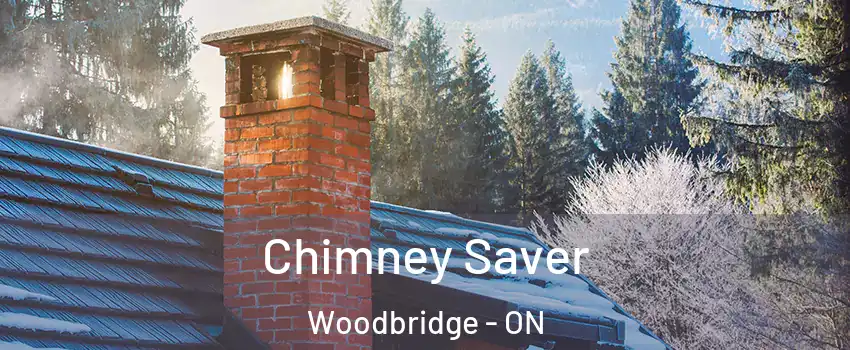  Chimney Saver Woodbridge - ON