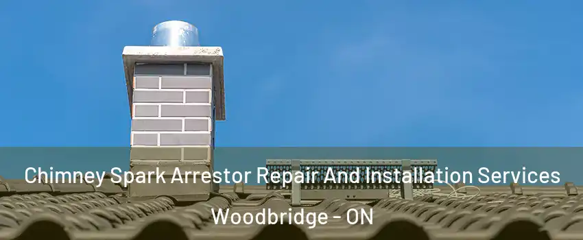  Chimney Spark Arrestor Repair And Installation Services Woodbridge - ON