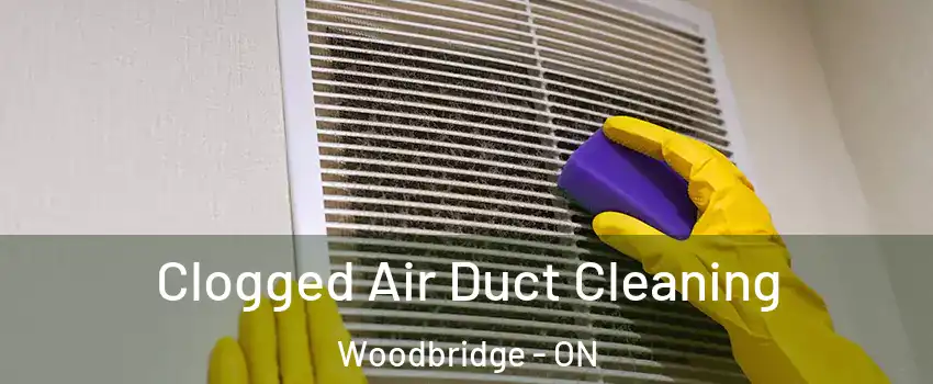  Clogged Air Duct Cleaning Woodbridge - ON