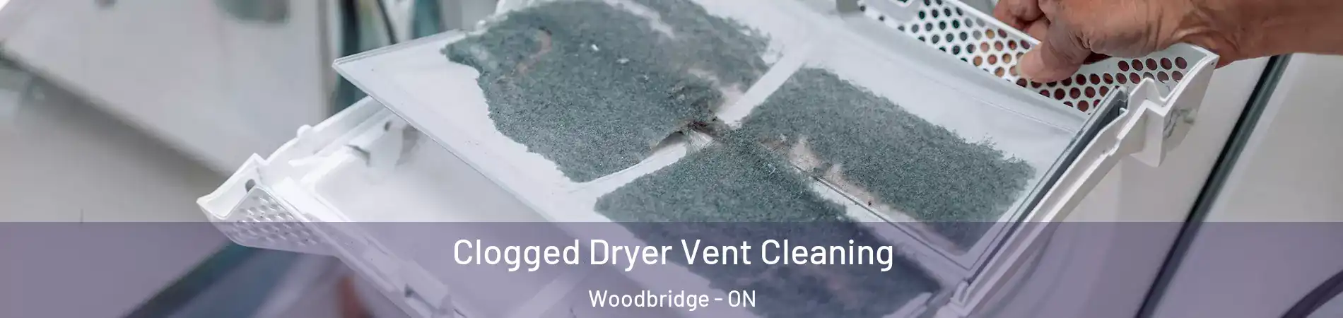  Clogged Dryer Vent Cleaning Woodbridge - ON