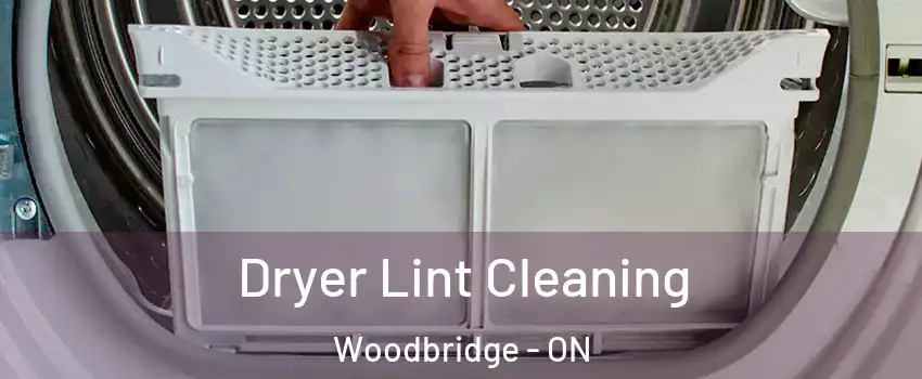  Dryer Lint Cleaning Woodbridge - ON