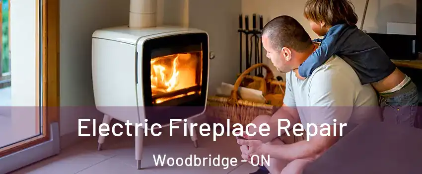  Electric Fireplace Repair Woodbridge - ON
