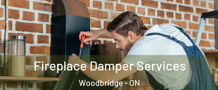  Fireplace Damper Services Woodbridge - ON