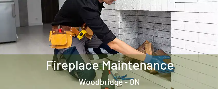 Fireplace Maintenance Woodbridge - ON