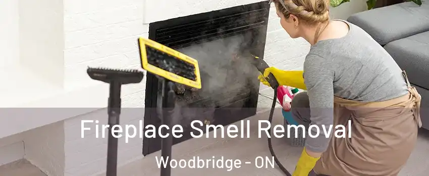  Fireplace Smell Removal Woodbridge - ON