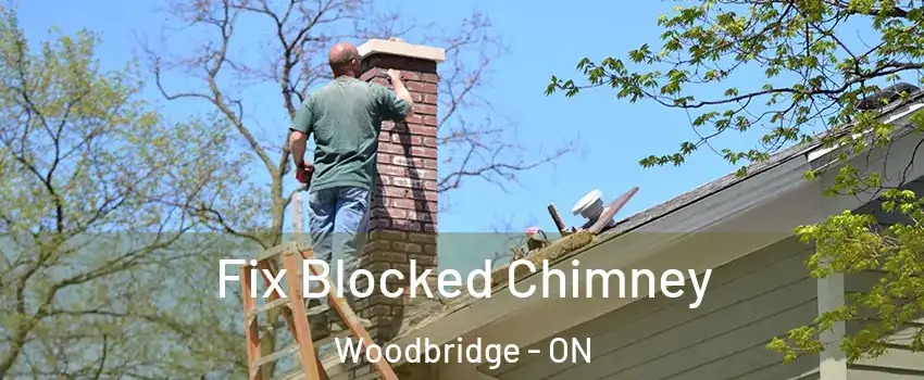  Fix Blocked Chimney Woodbridge - ON