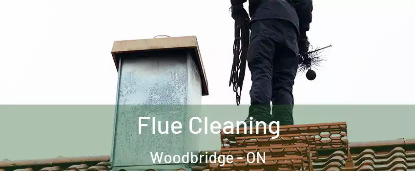  Flue Cleaning Woodbridge - ON