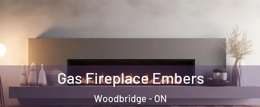  Gas Fireplace Embers Woodbridge - ON