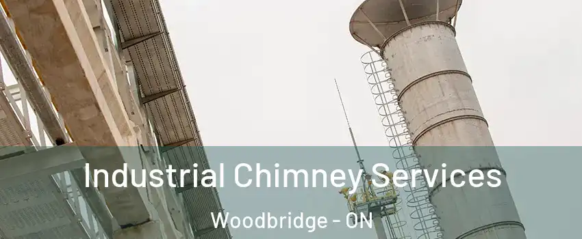  Industrial Chimney Services Woodbridge - ON