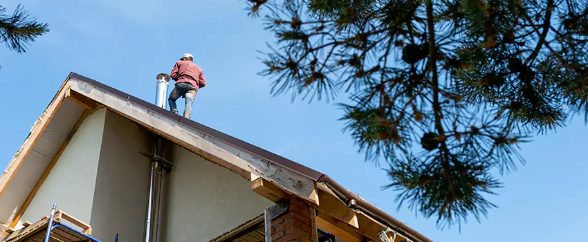 Birds Removal Contractors from Chimney in Woodbridge, ON