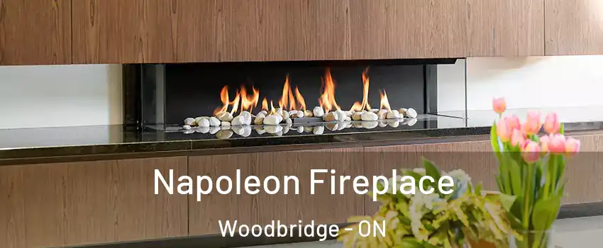  Napoleon Fireplace Woodbridge - ON
